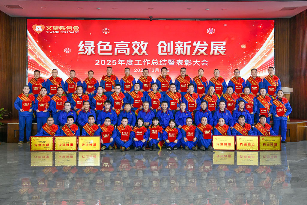 公司隆重舉行2025年度工作總結(jié)暨表彰大會