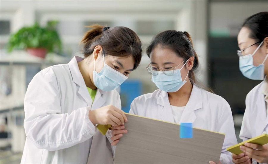 微信截圖_20241127195157